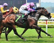 Spring Thunder holds off the challenges from left, right and centre to open his account.<br>Photo by Singapore Turf Club